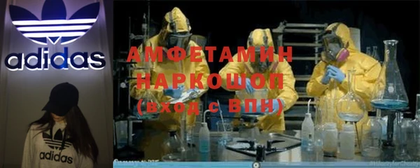 крисы Новозыбков