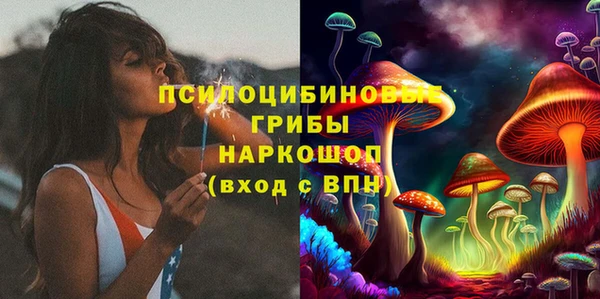 крисы Новозыбков