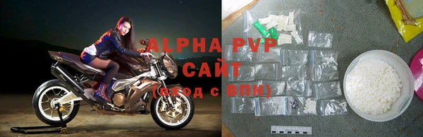 крисы Новозыбков