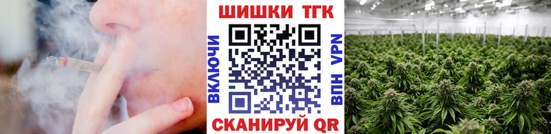 Конопля сатива  Купить  Малоярославец 